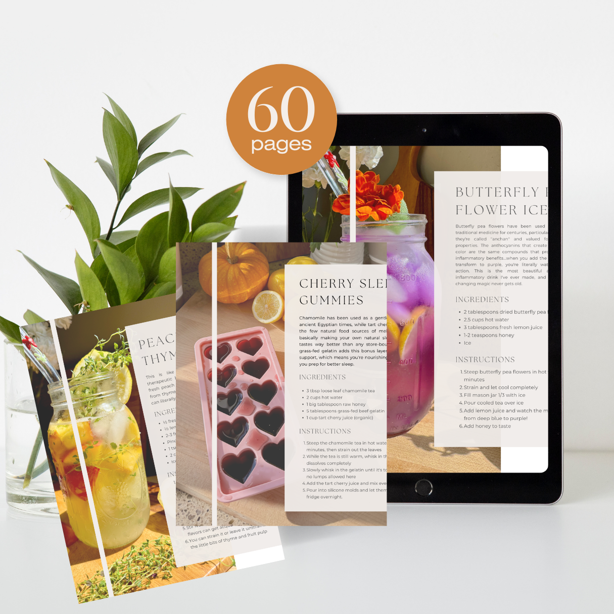 Complete Real Food Transformation Bundle - Save 20% + Instant Access