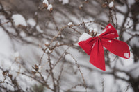 Holiday Harmony
