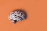 Mindset Freedom